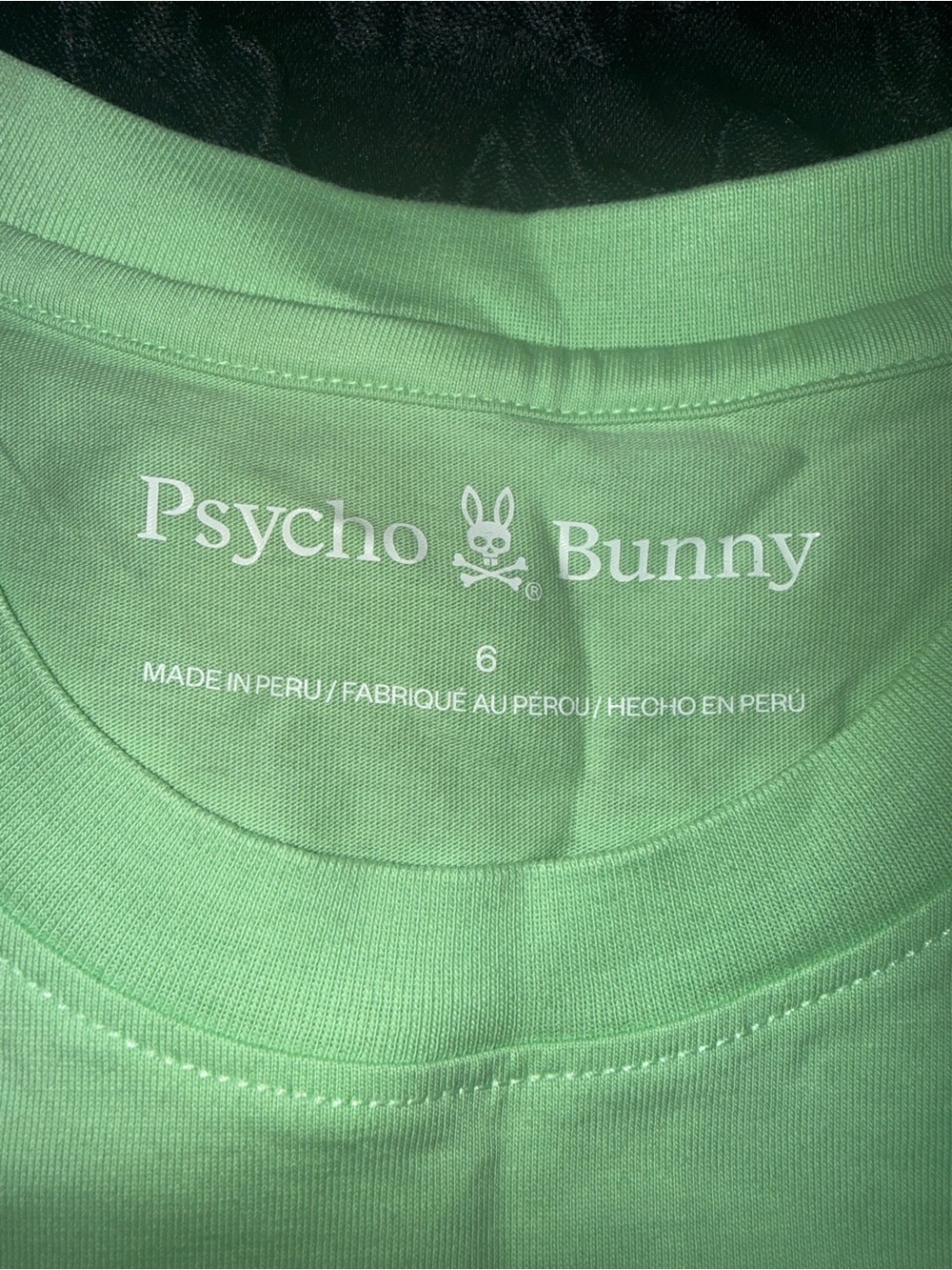 Psycho Bunny Men's Mint Green Logo Crewneck T-Shirt